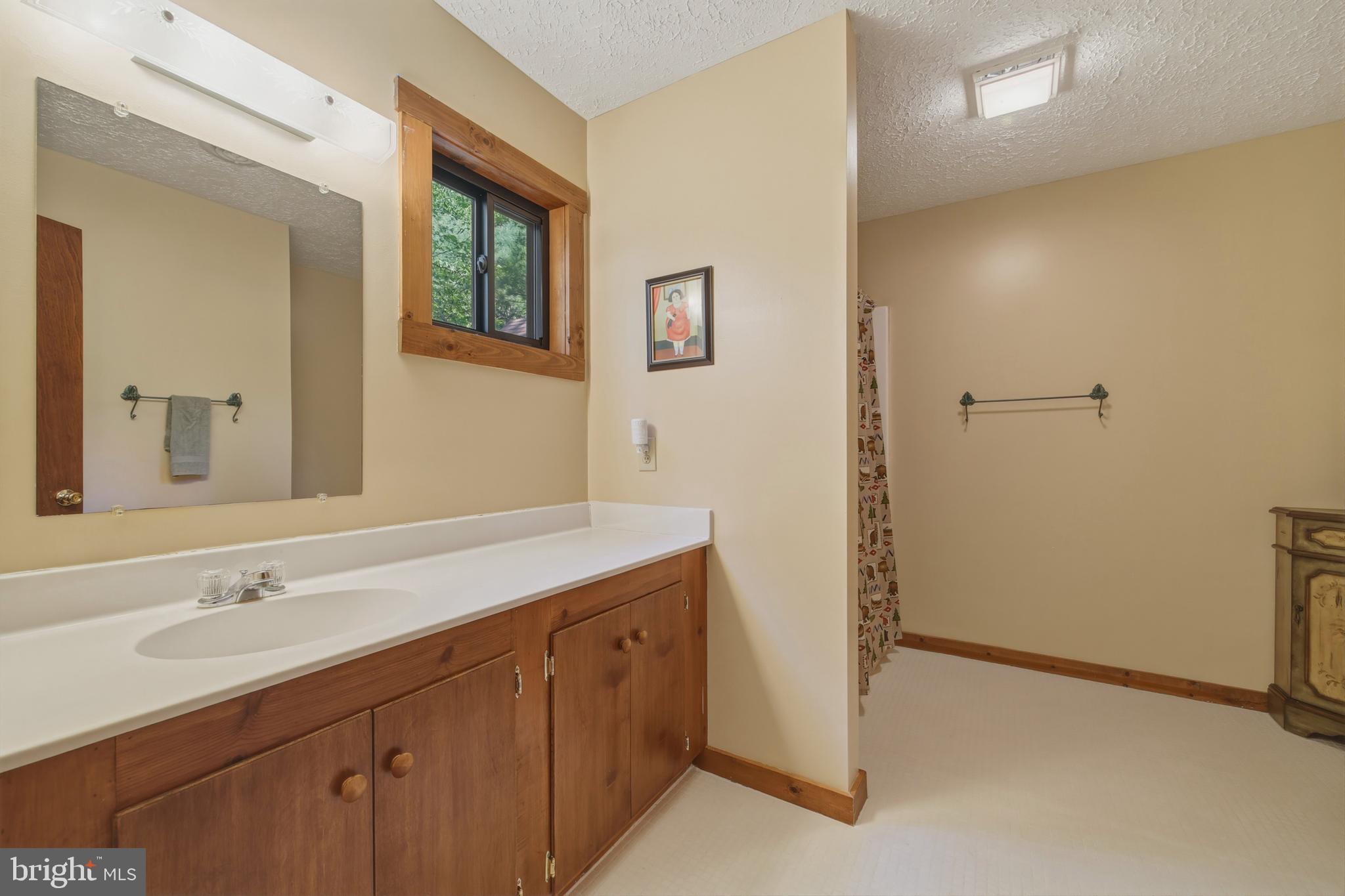 309 Locust Lane Mount Jackson, VA 22842 - Photo 35 of 57 Upper Level - Primary Bath 1