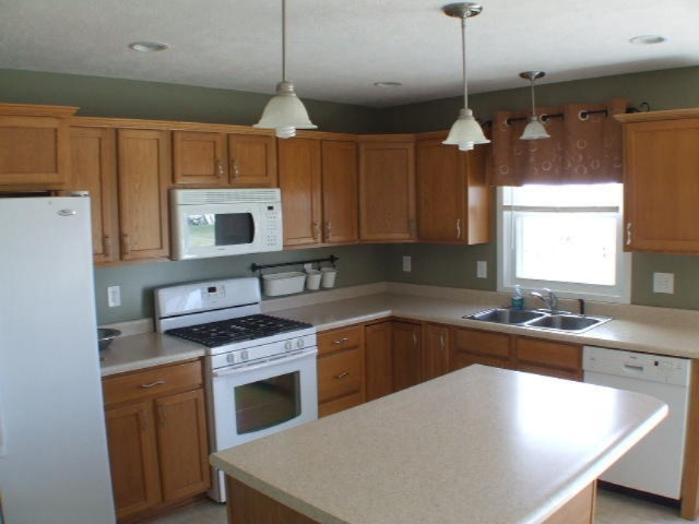 2080 South Williams Road St. Johns, MI 48879 - Photo 14 of 25 DSCF4837