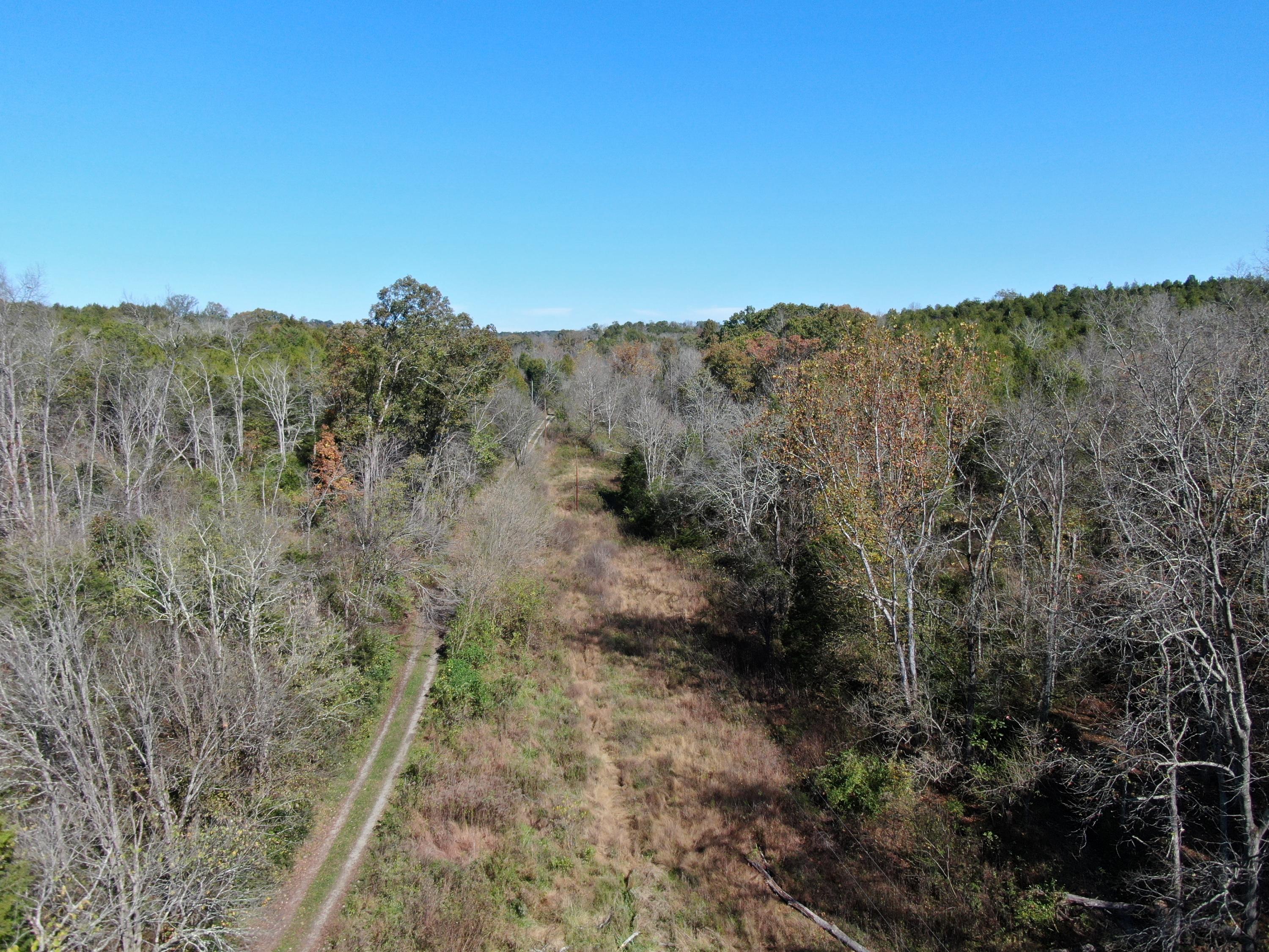 0 Greeley Haun Road Russellville, TN 37860 - Photo 2 of 30 DJI_0661