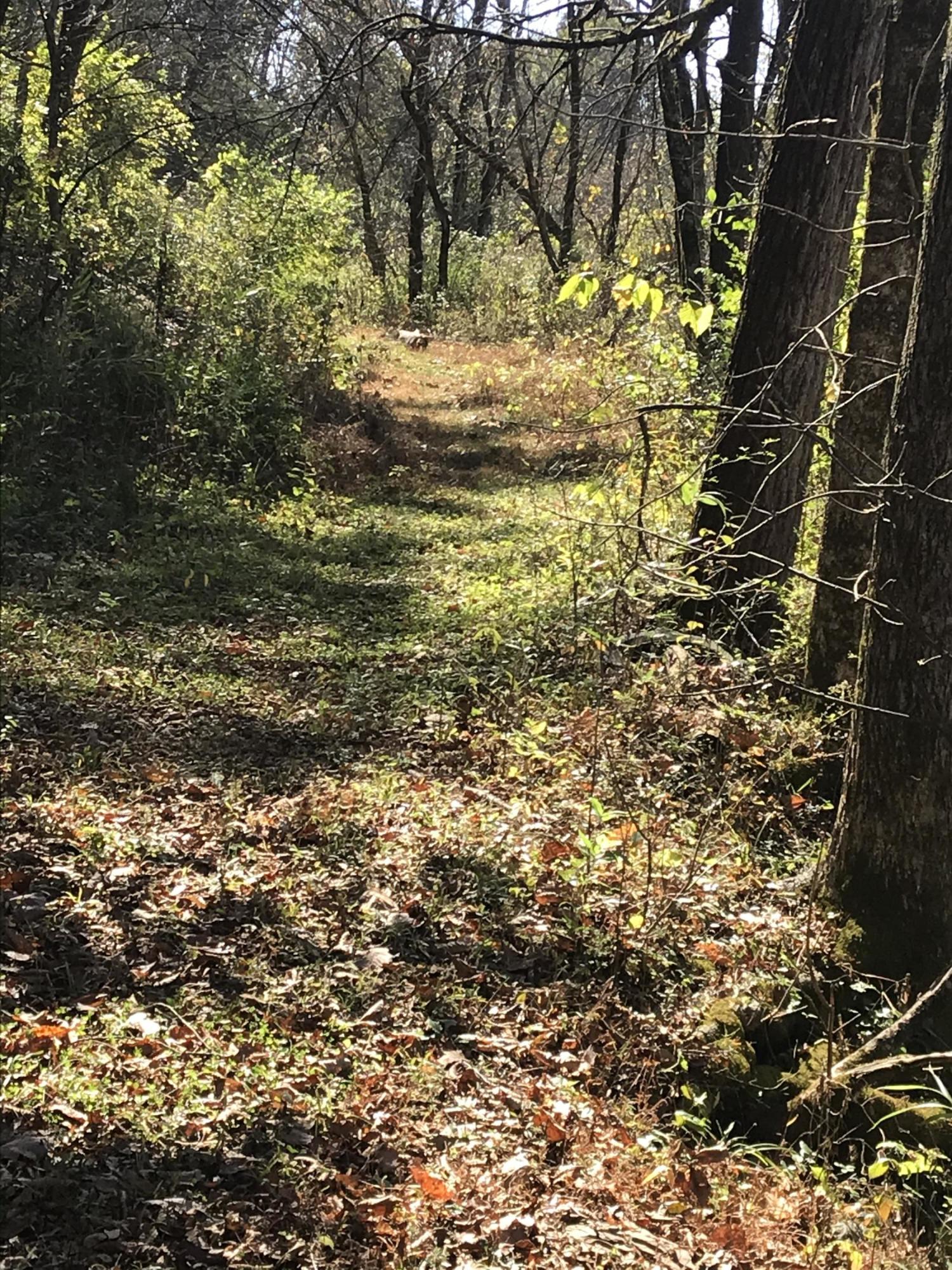 0 Greeley Haun Road Russellville, TN 37860 - Photo 12 of 30 Photo Oct 31, 1 42 04 PM