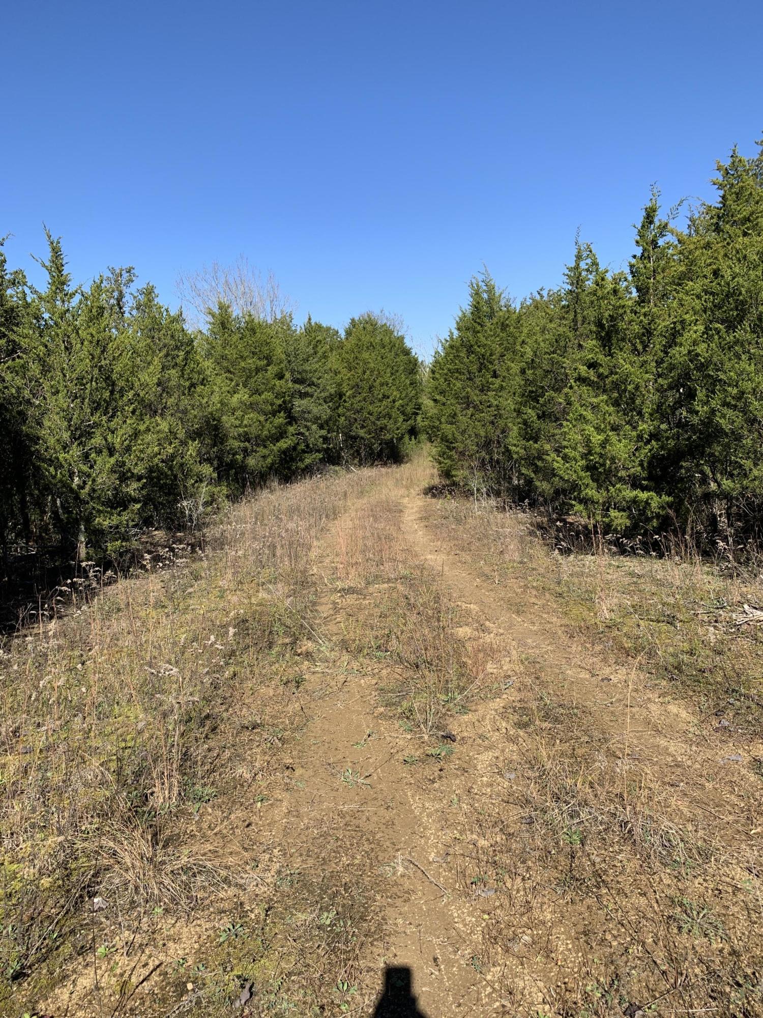 0 Greeley Haun Road Russellville, TN 37860 - Photo 17 of 30 Photo Oct 31, 1 52 10 PM