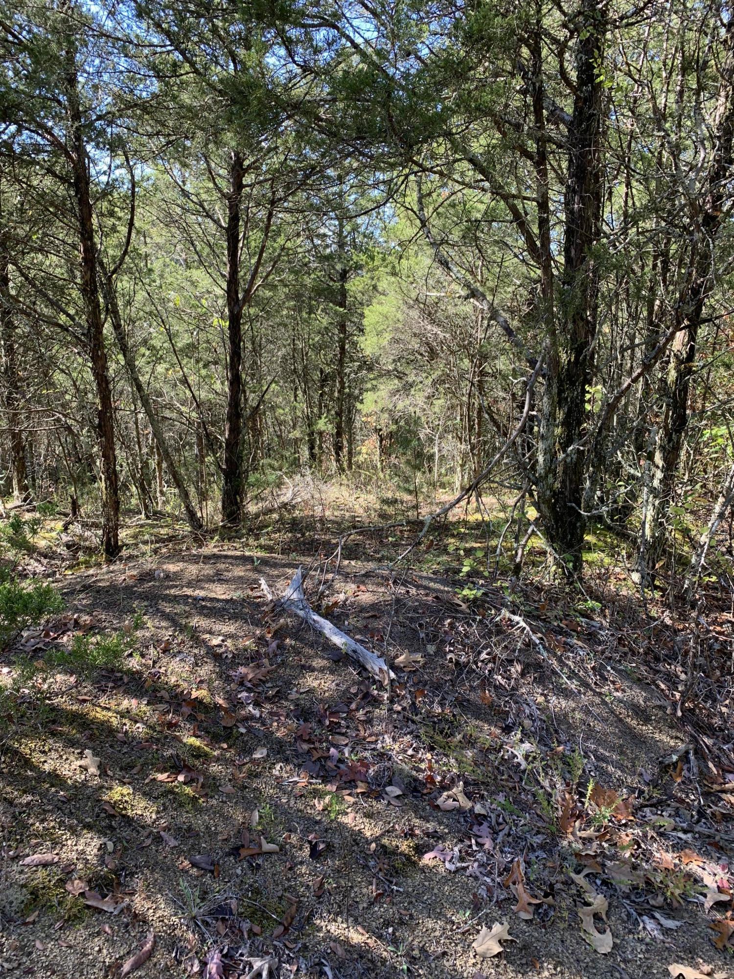 0 Greeley Haun Road Russellville, TN 37860 - Photo 20 of 30 Photo Oct 31, 2 12 12 PM