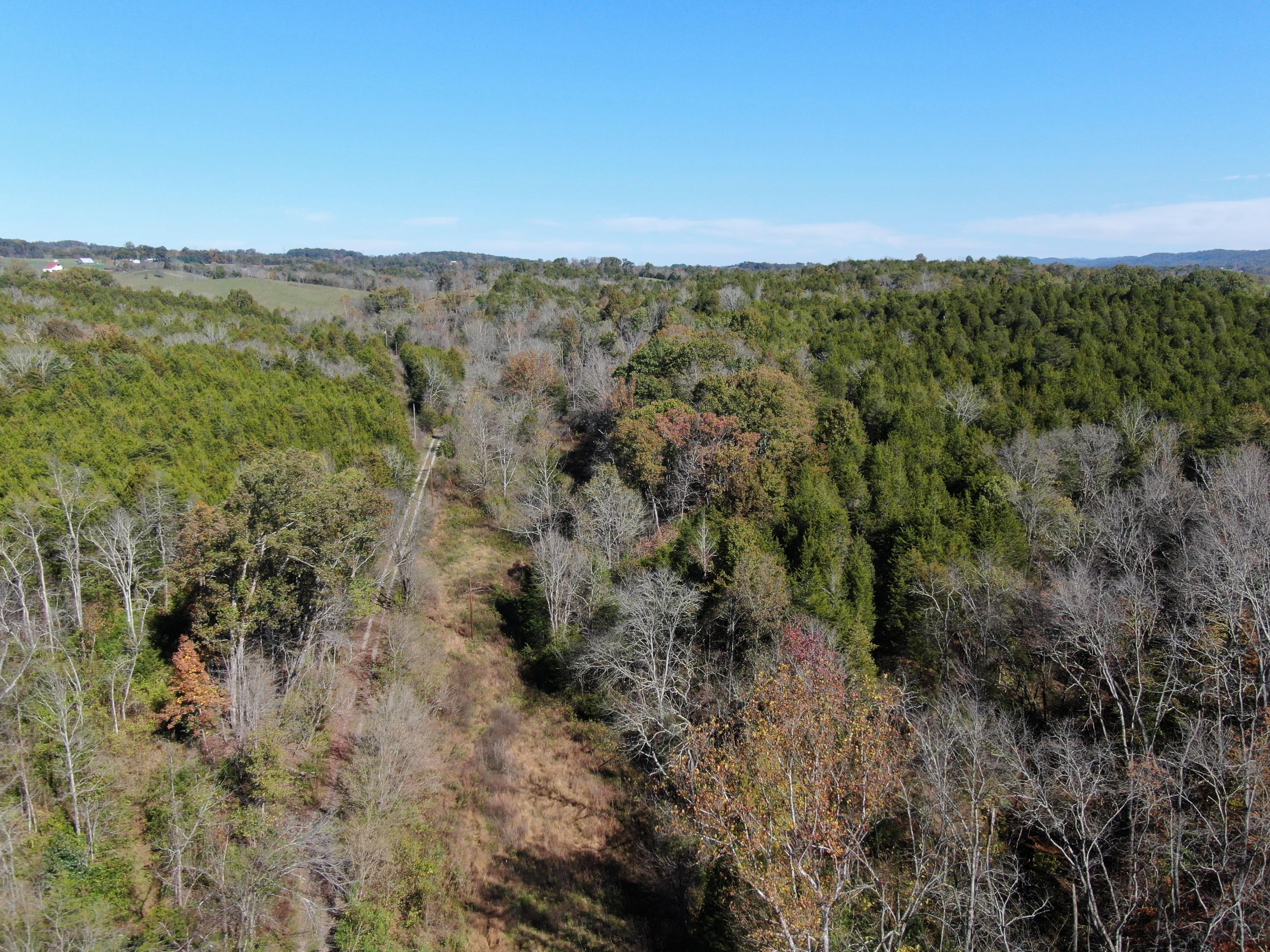 0 Greeley Haun Road Russellville, TN 37860 - Photo 3 of 30 DJI_0662