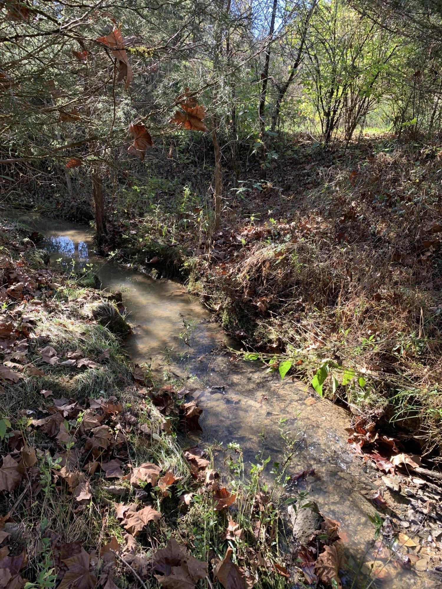 0 Greeley Haun Road Russellville, TN 37860 - Photo 23 of 30 Photo Oct 31, 2 18 46 PM
