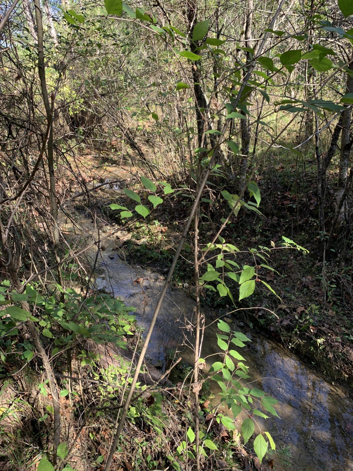 0 Greeley Haun Road Russellville, TN 37860 - Photo 24 of 30 Photo Oct 31, 2 25 24 PM