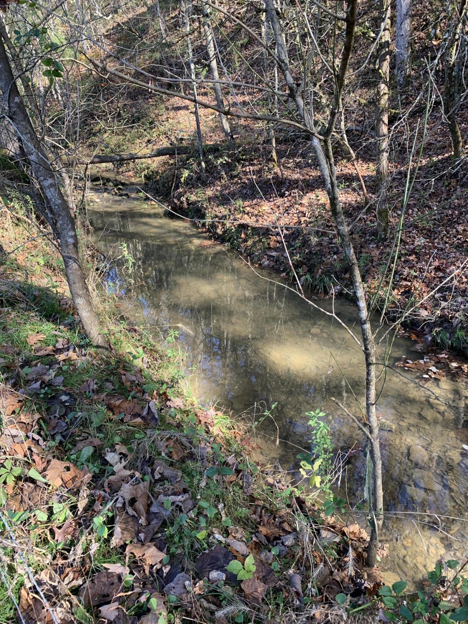0 Greeley Haun Road Russellville, TN 37860 - Photo 25 of 30 Photo Oct 31, 2 37 49 PM