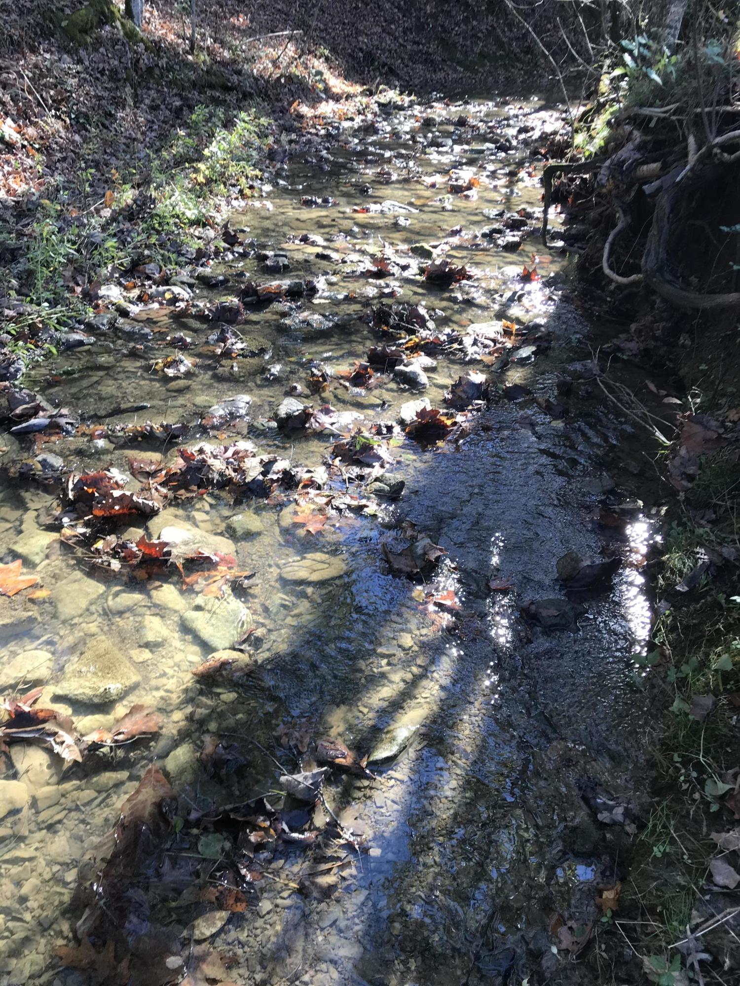 0 Greeley Haun Road Russellville, TN 37860 - Photo 26 of 30 Photo Oct 31, 2 39 06 PM