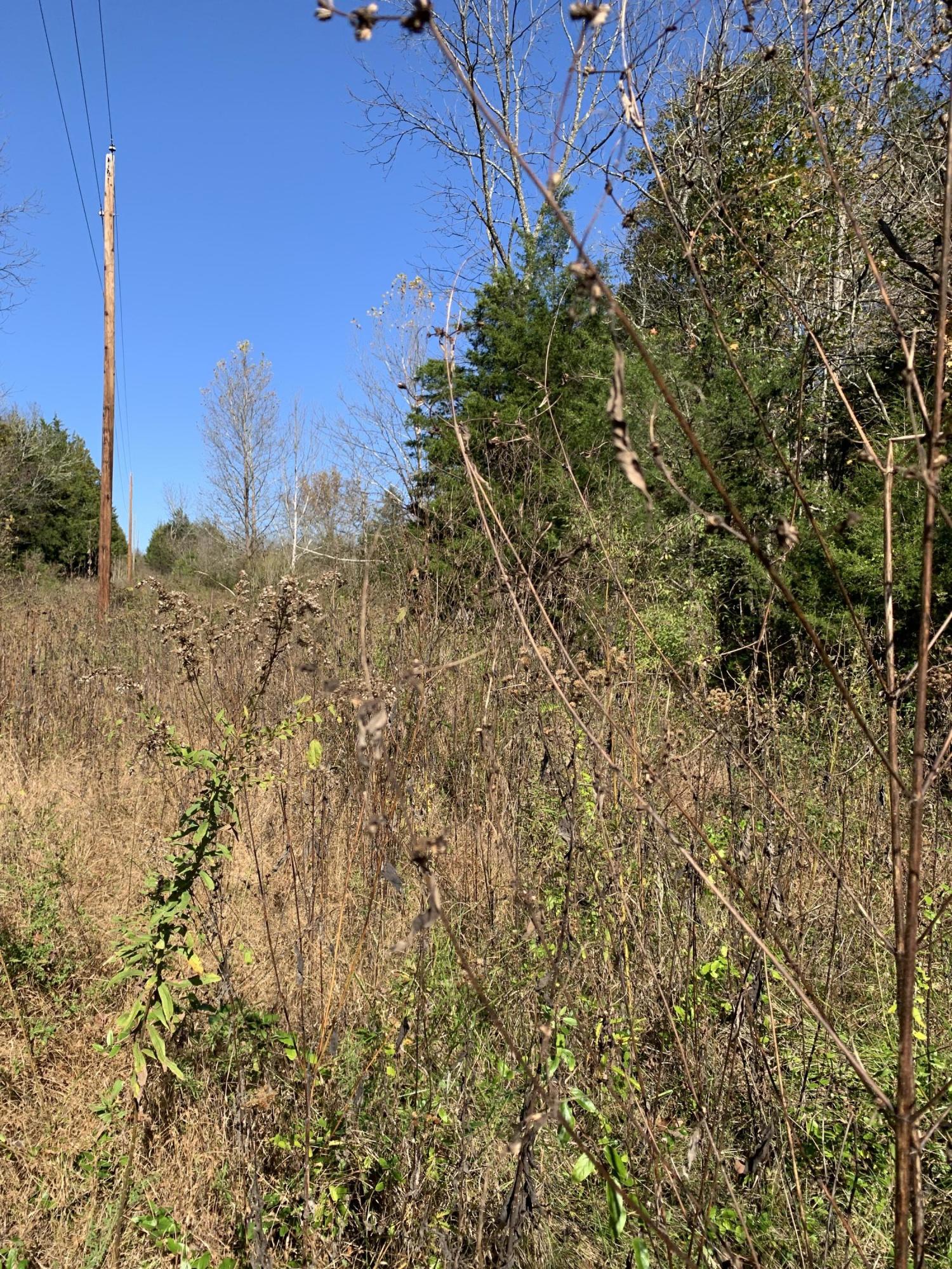 0 Greeley Haun Road Russellville, TN 37860 - Photo 27 of 30 Photo Oct 31, 2 42 16 PM