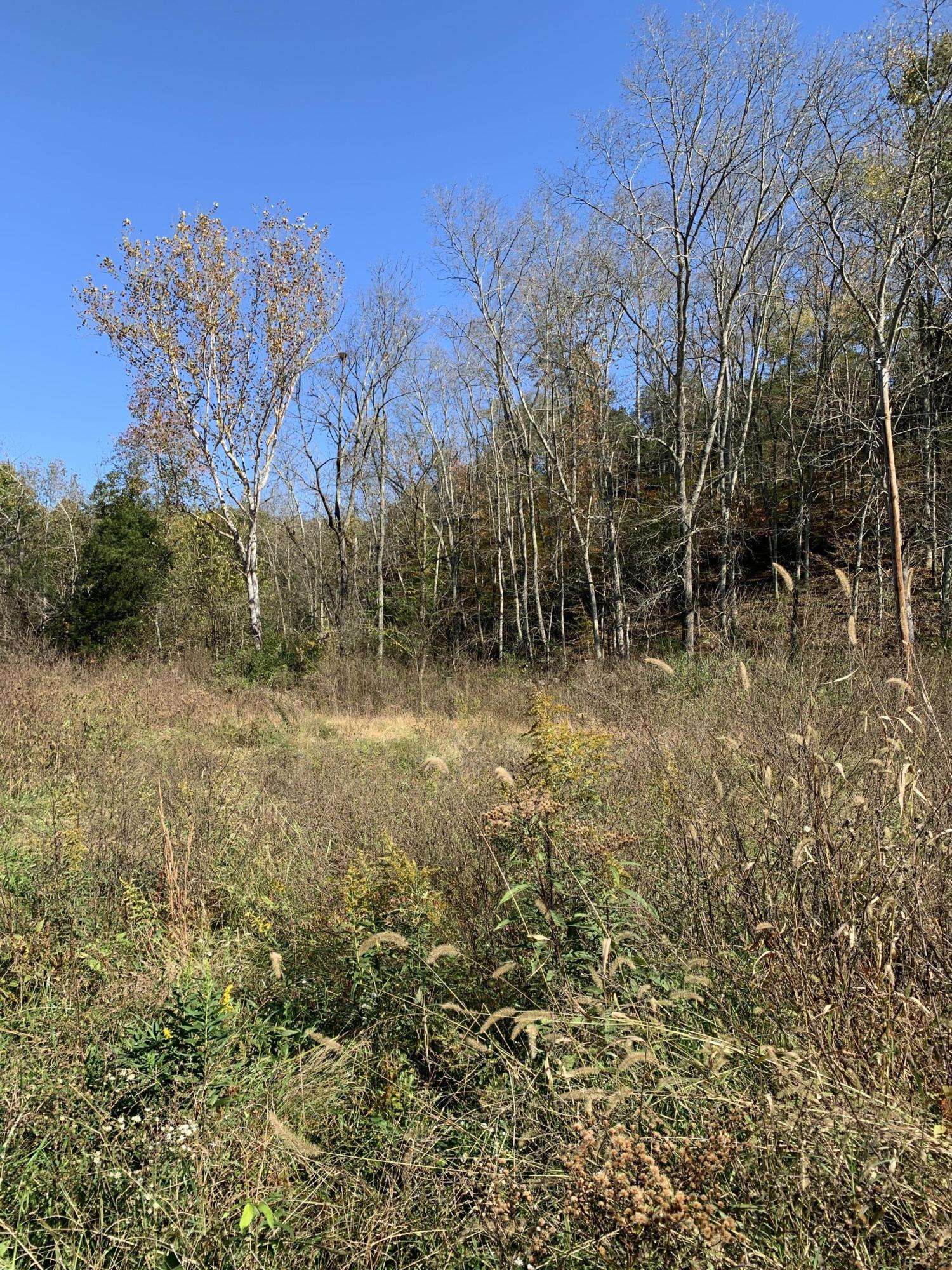 0 Greeley Haun Road Russellville, TN 37860 - Photo 29 of 30 Photo Oct 31, 2 45 18 PM