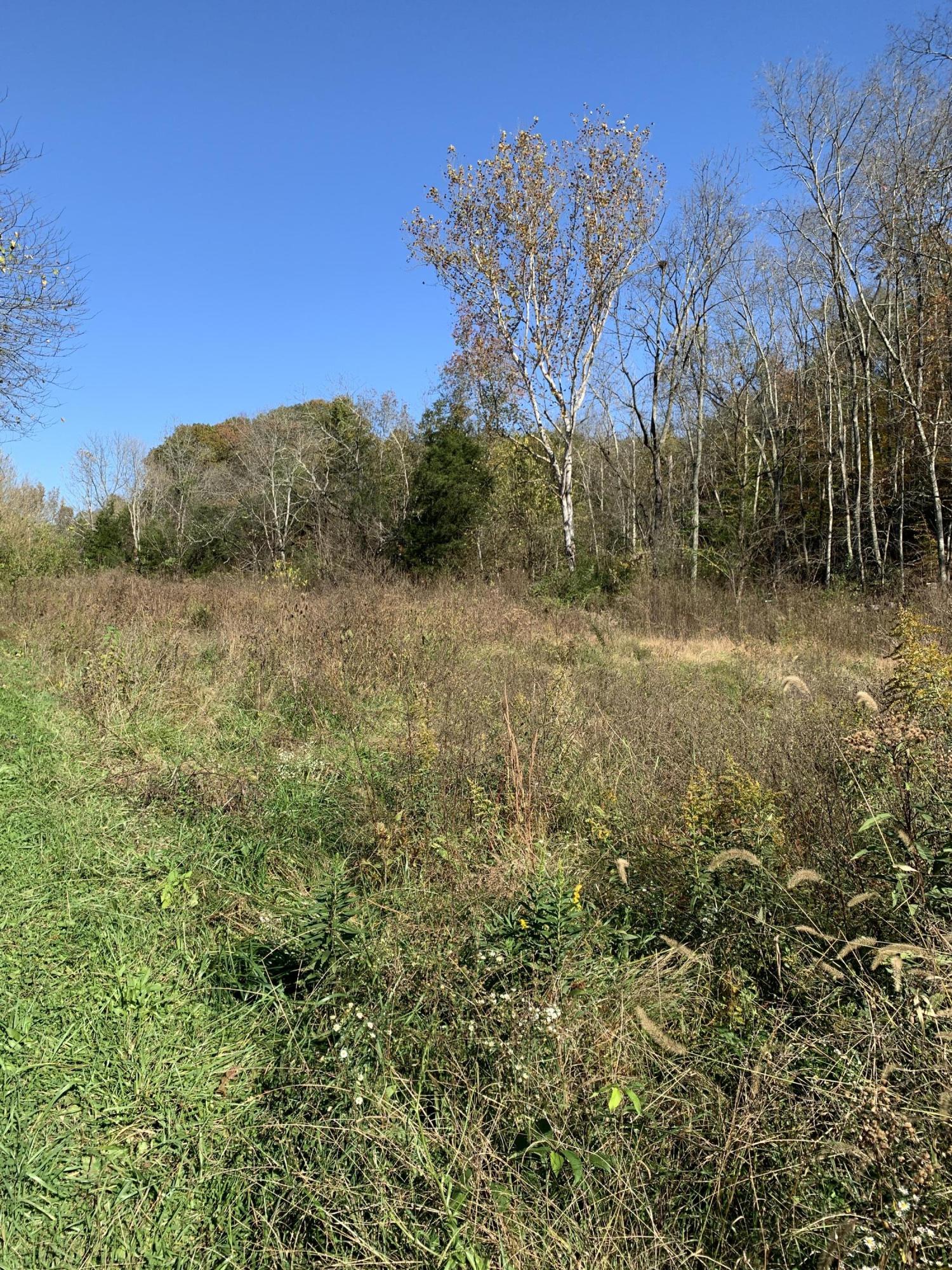 0 Greeley Haun Road Russellville, TN 37860 - Photo 30 of 30 Photo Oct 31, 2 45 20 PM