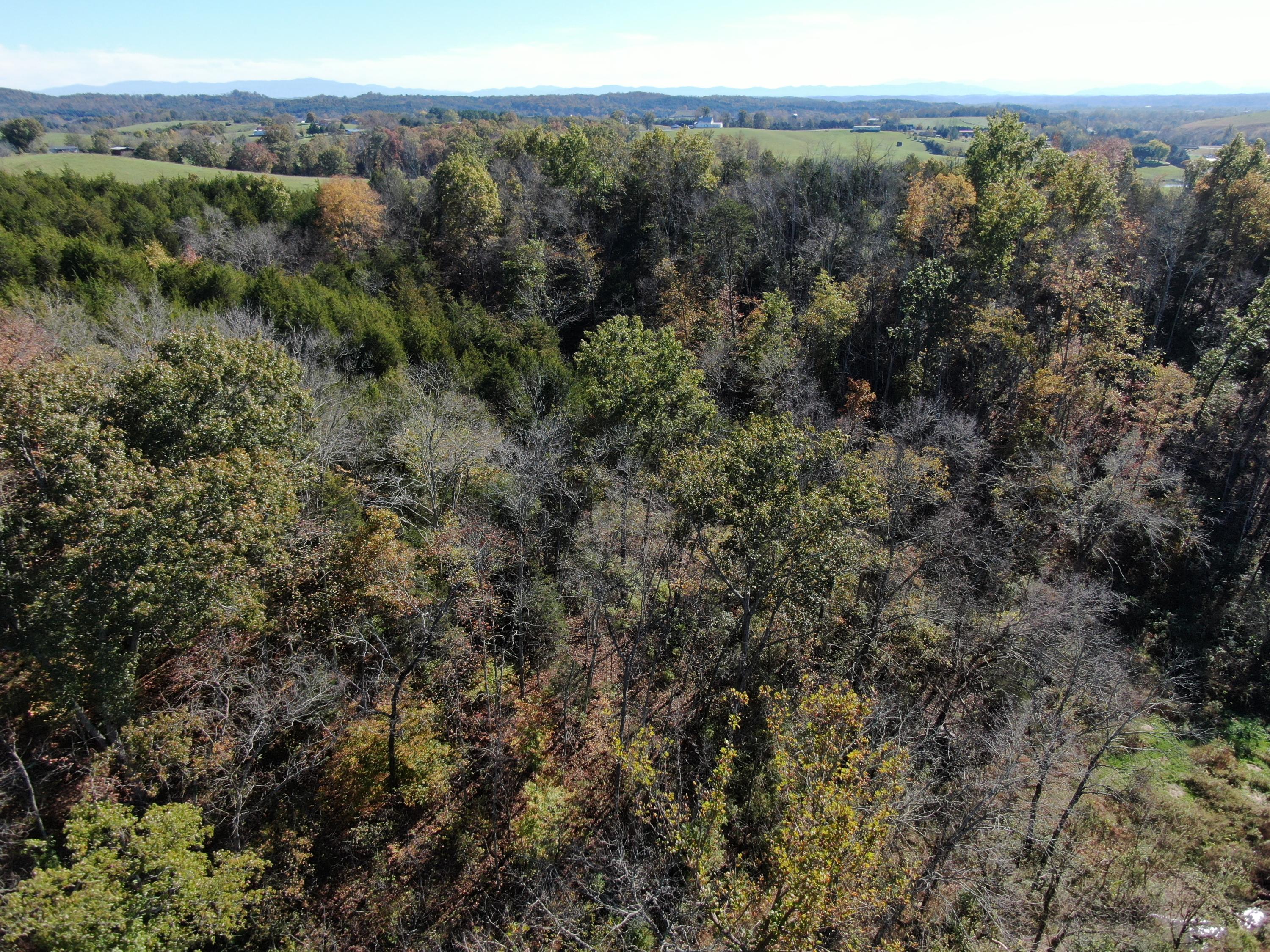 0 Greeley Haun Road Russellville, TN 37860 - Photo 5 of 30 DJI_0669