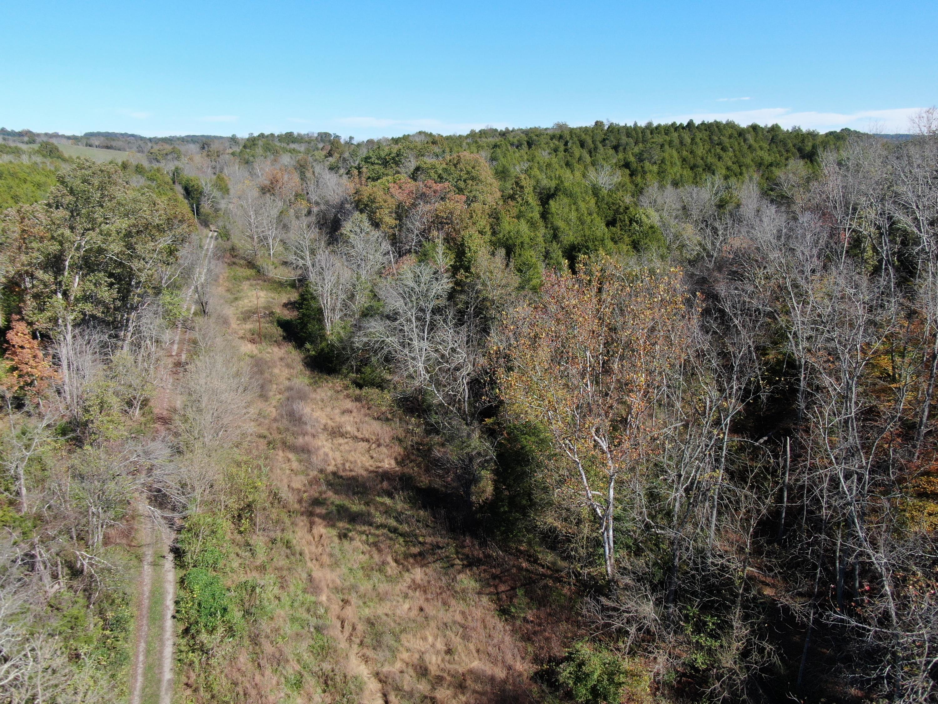 0 Greeley Haun Road Russellville, TN 37860 - Photo 6 of 30 DJI_0675