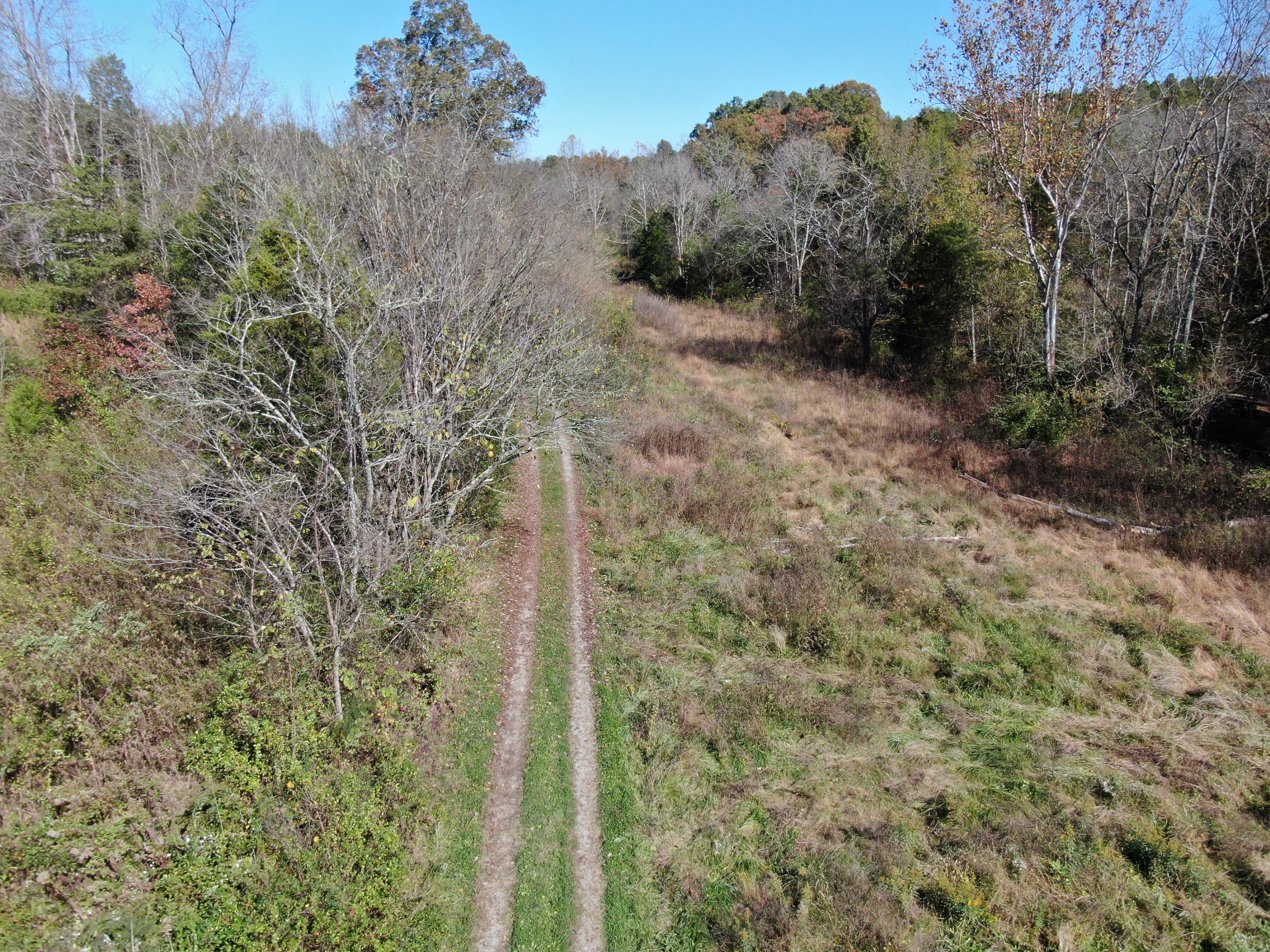 0 Greeley Haun Road Russellville, TN 37860 - Photo 7 of 30 DJI_0677