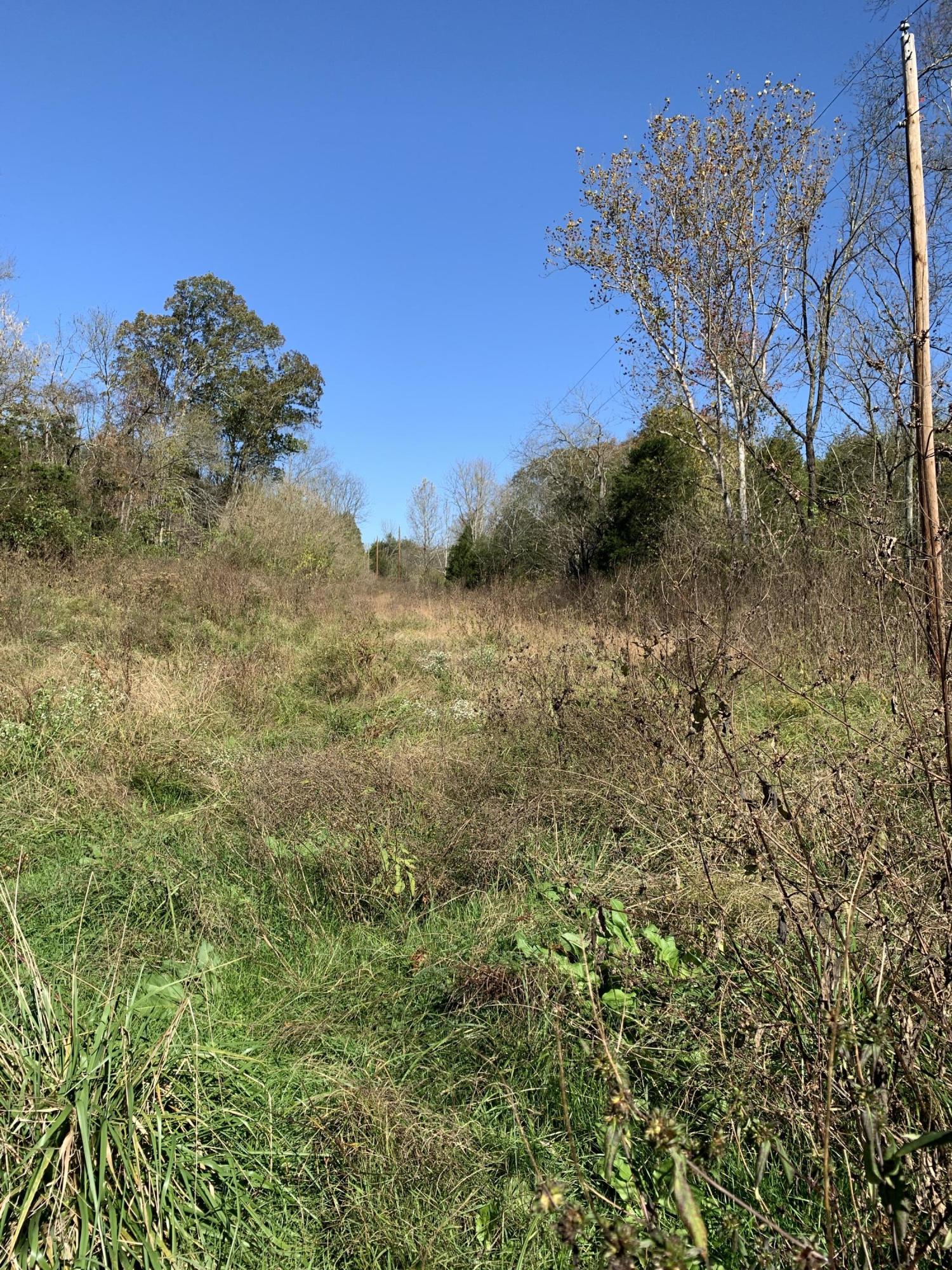 0 Greeley Haun Road Russellville, TN 37860 - Photo 8 of 30 Photo Oct 31, 1 37 24 PM