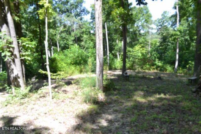 9.85-ac Rock Springs Road Celina, TN 38551 - Photo 23 of 48 DSC_0066