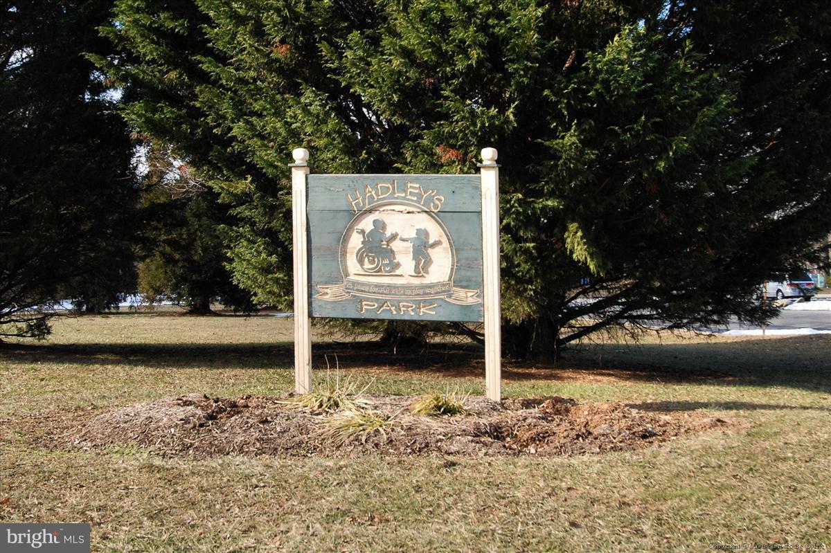 5 Cold Spring Court Potomac, MD 20854 - Photo 28 of 30 a view of a park with large trees