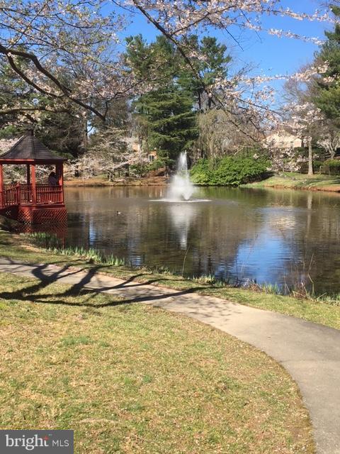 5 Cold Spring Court Potomac, MD 20854 - Photo 29 of 30 a view of a lake