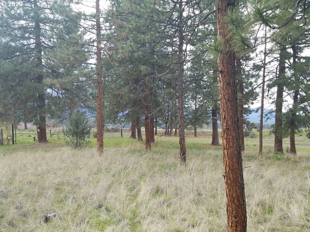 Frontage Road Tygh Valley, OR 97063 - Photo 13 of 13 Gallery Image 13