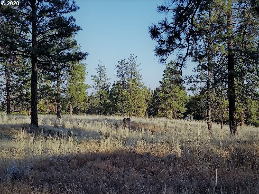 Frontage Road Tygh Valley, OR 97063 - Photo 8 of 13 Gallery Image 8