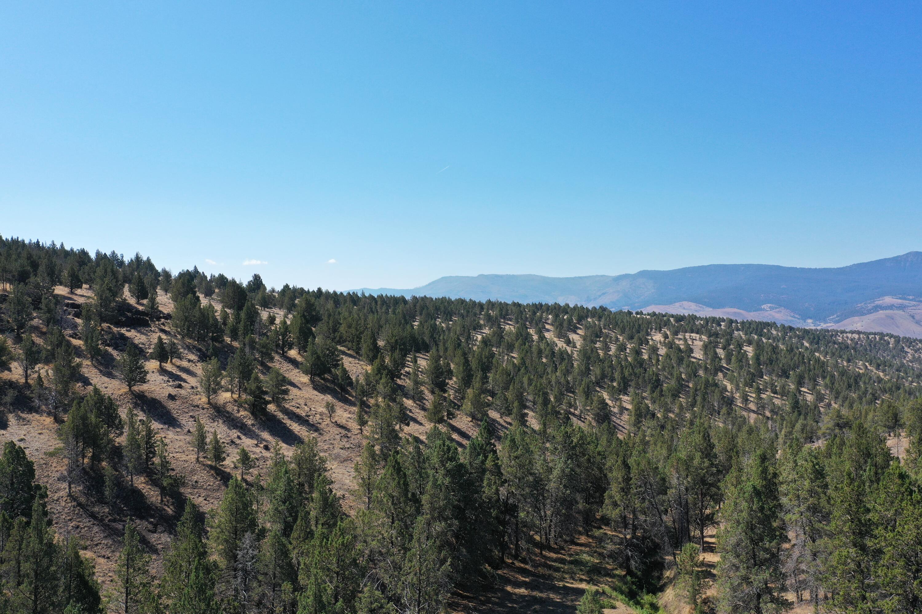 2400 Wiley Creek Road Mount Vernon, OR 97865 - Photo 26 of 34 DJI_0389