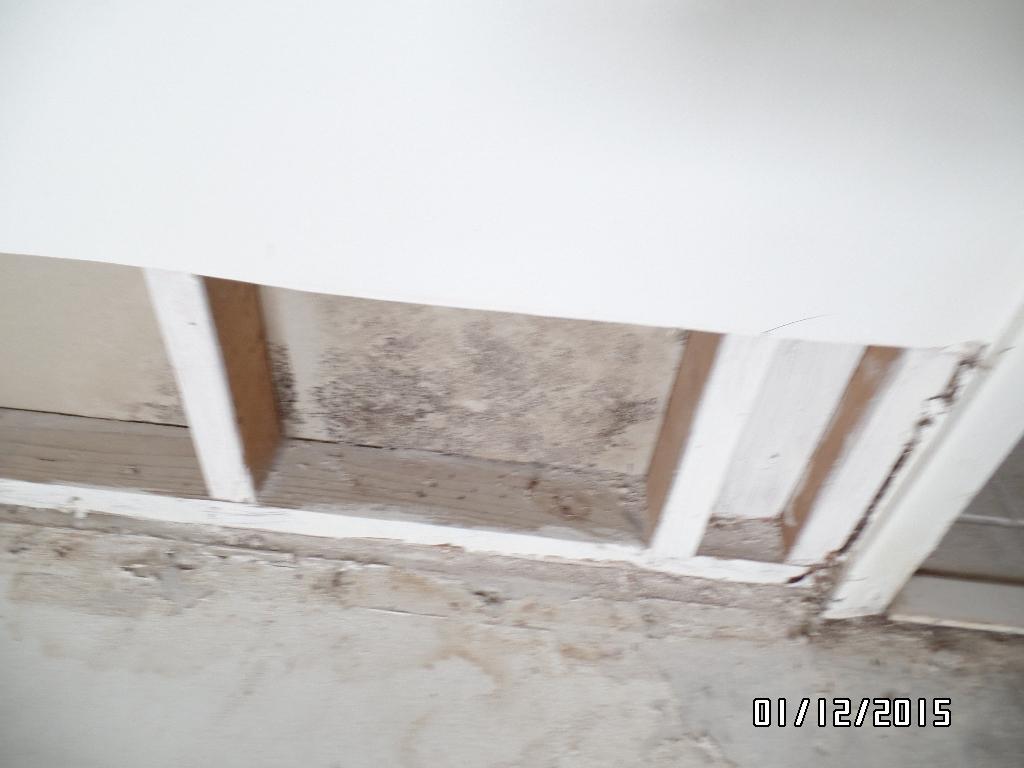 605 Ixoria Fort, Unit 10A Fort Pierce, FL 34982 - Photo 7 of 18 SAM_1022