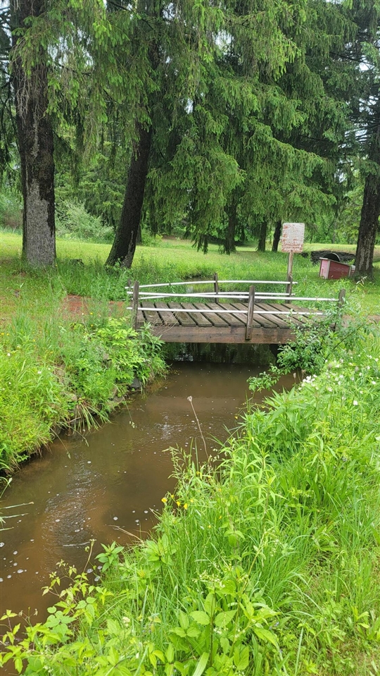 23580 22 Mile Road Paris, MI 49338 - Photo 19 of 28