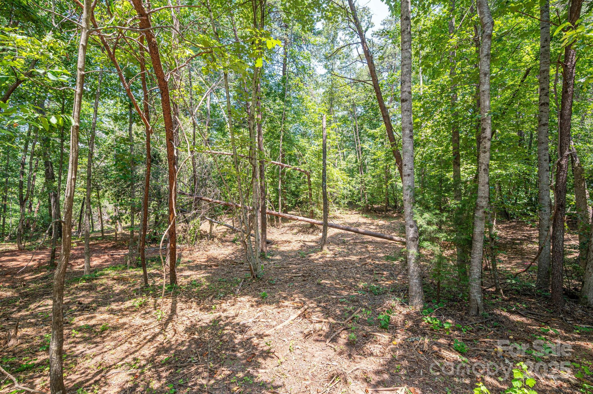 Lot 5 Annapolis Court Rutherfordton, NC 28139 - Photo 7 of 27