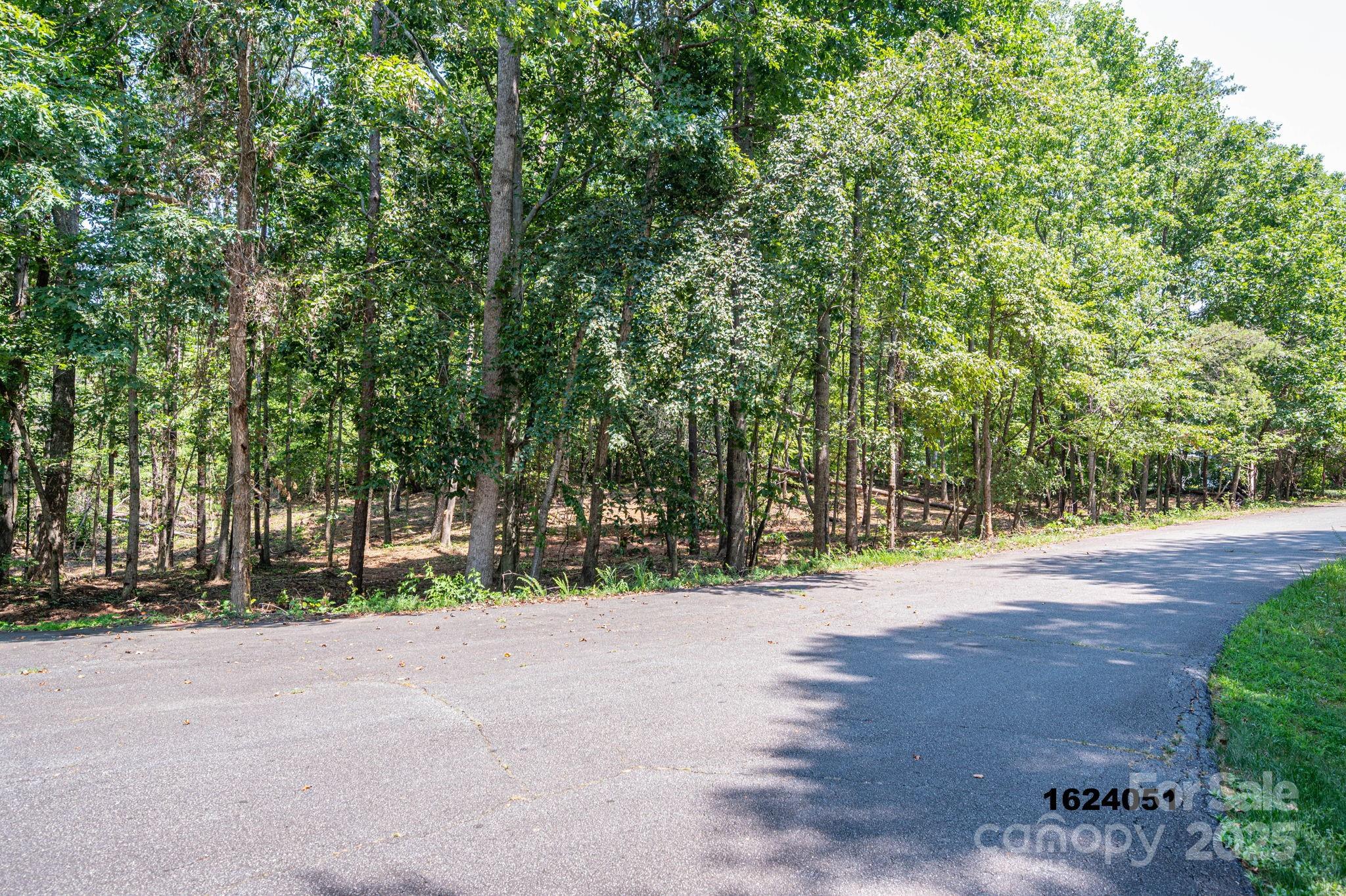 Lot 5 Annapolis Court Rutherfordton, NC 28139 - Photo 9 of 27