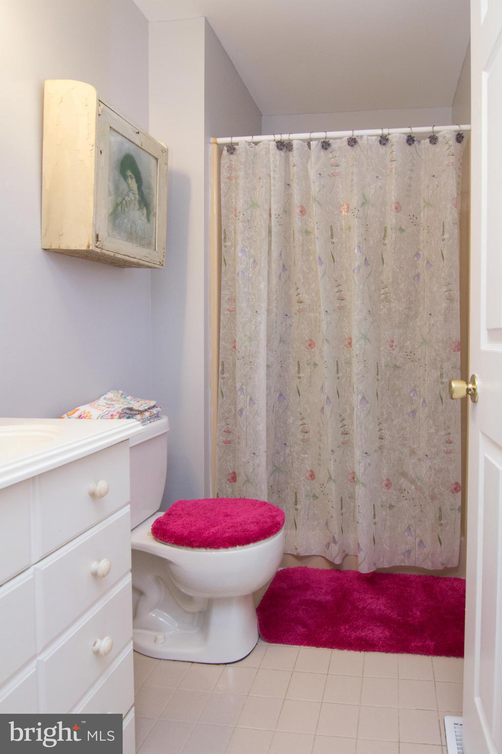 4096 Rinehart Road Westminster, MD 21158 - Photo 21 of 30 Full Bath has shower
