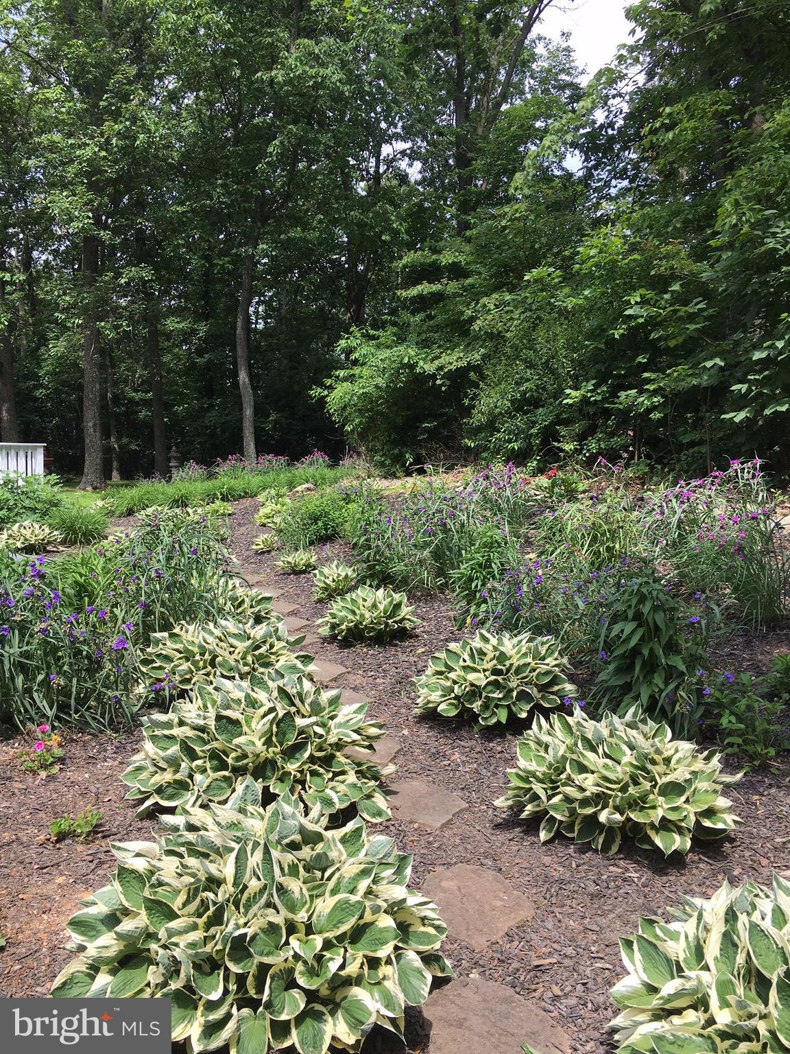 4096 Rinehart Road Westminster, MD 21158 - Photo 29 of 30 Beautiful gardens are in bloom