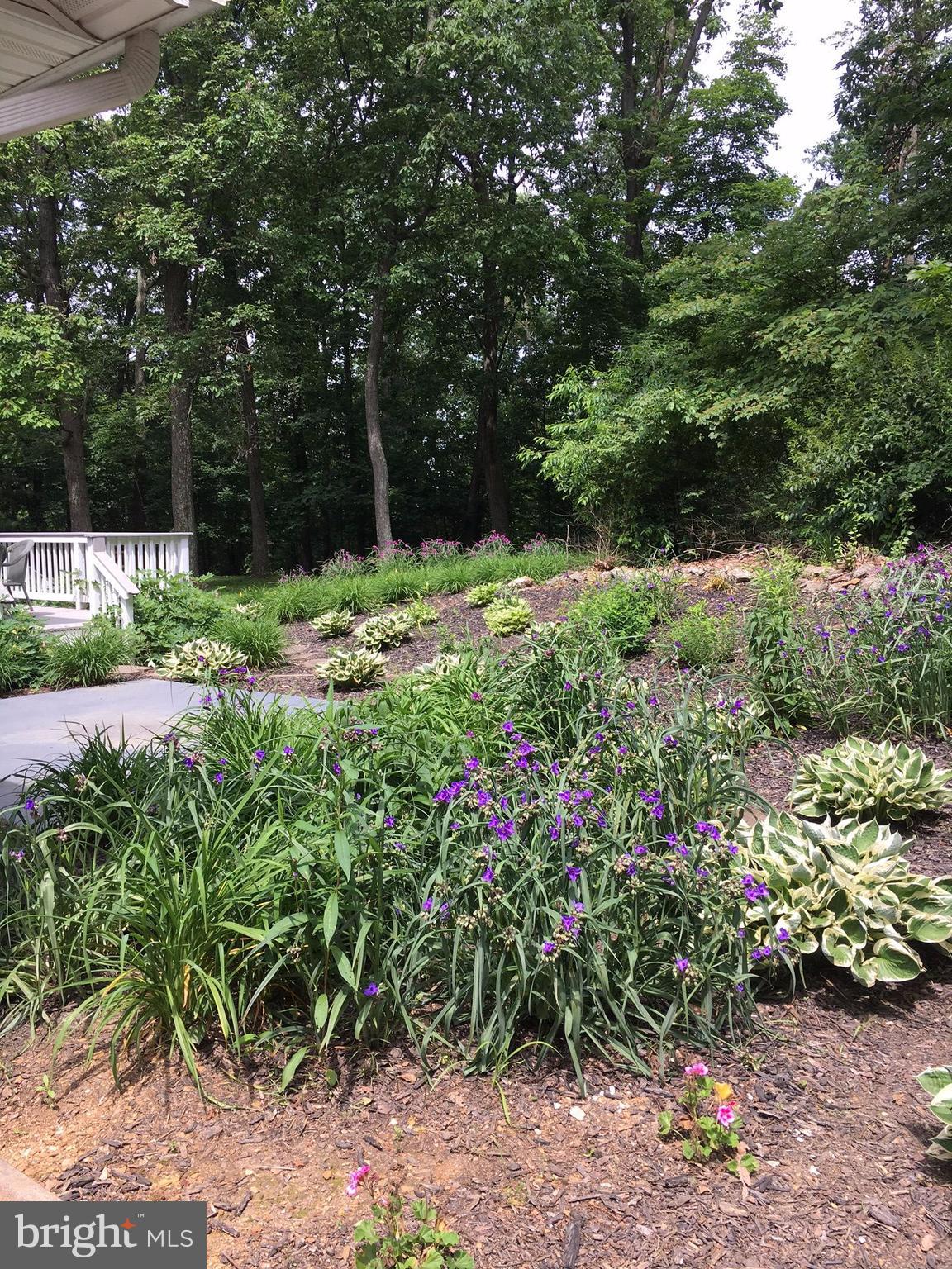 4096 Rinehart Road Westminster, MD 21158 - Photo 30 of 30 Beautiful gardens are in bloom