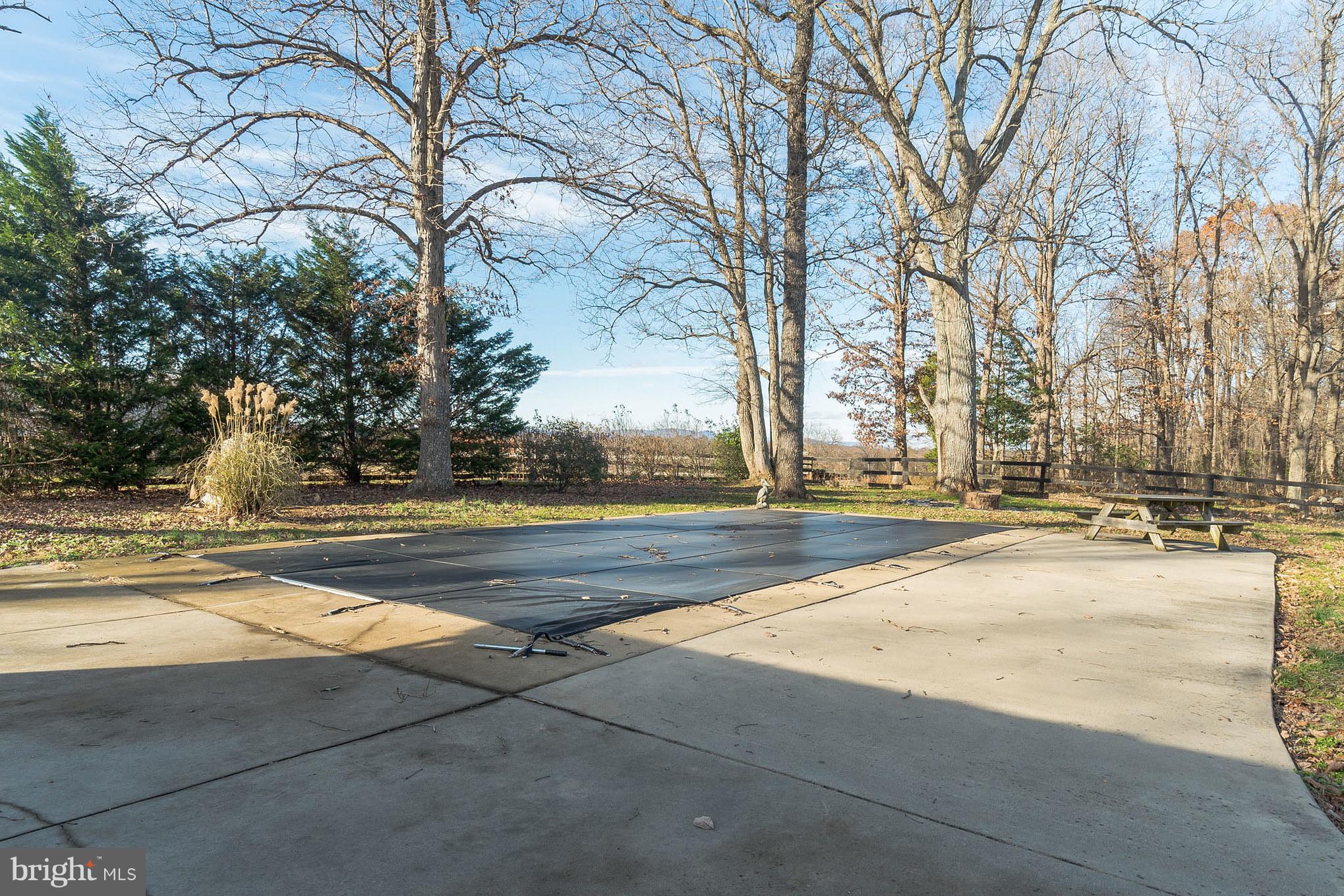 10600 Alum Springs Road Culpeper, VA 22701 - Photo 25 of 30 In ground pool