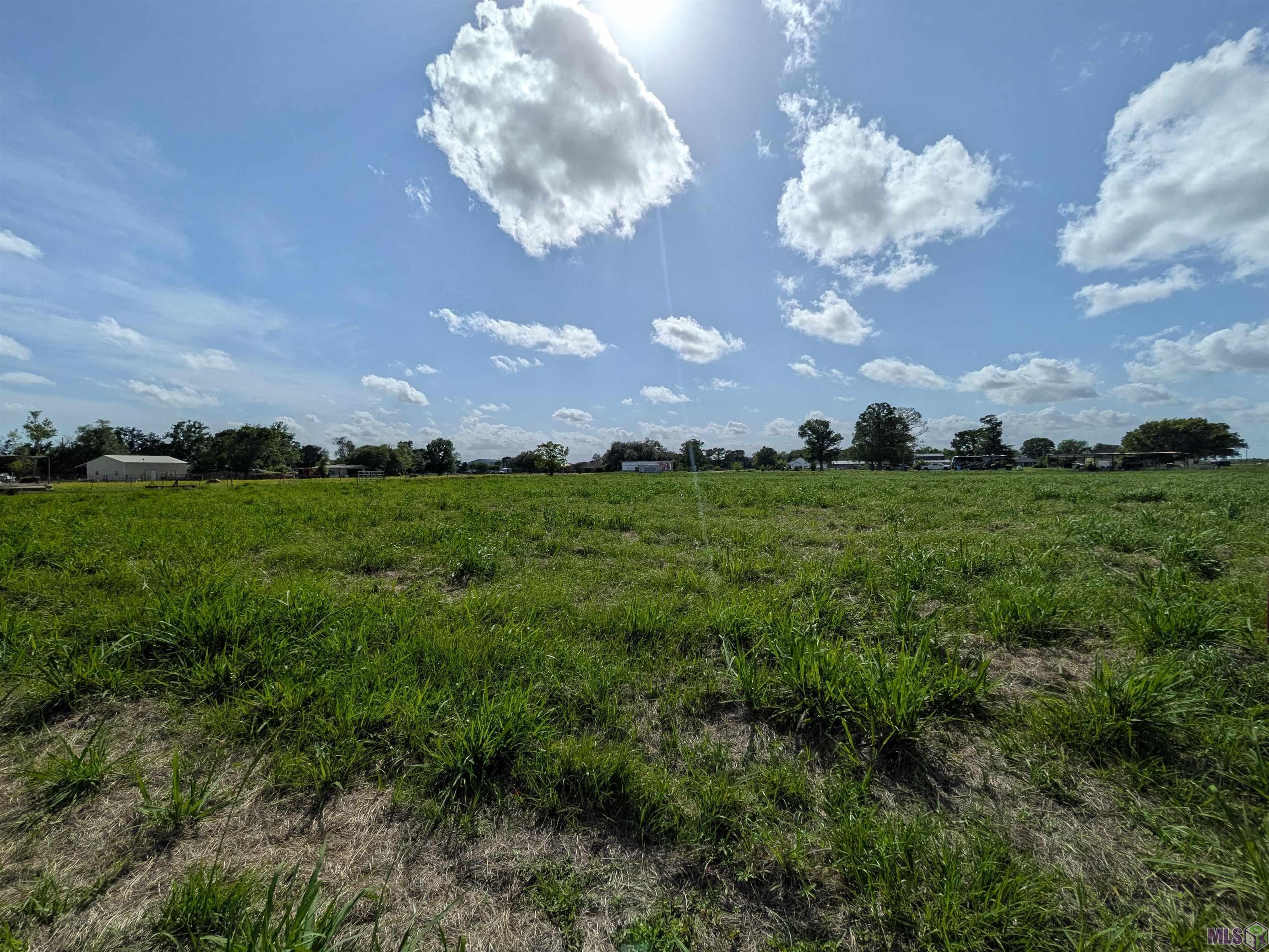 68 Magnolia Street Raceland, LA 70394 - Photo 36 of 46