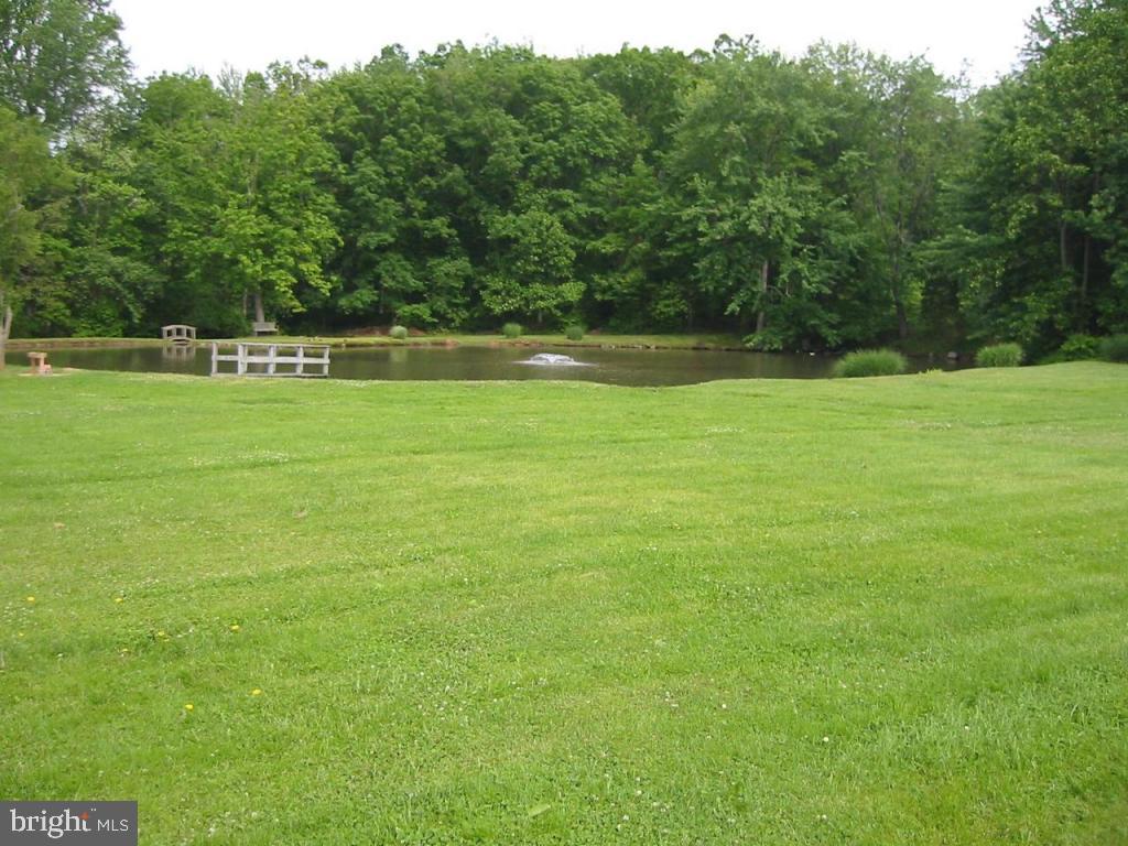 670 West Girl Scout Road Denver, PA 17517 - Photo 5 of 16 Gallery Image 5