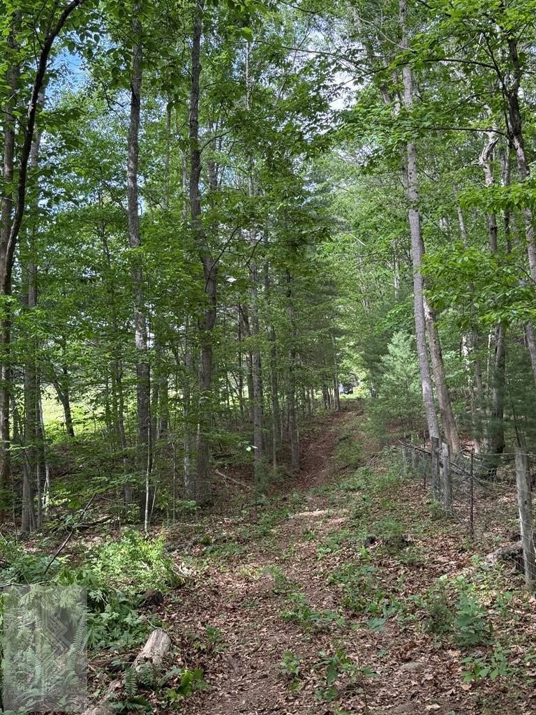 0 Fritz Run Road Ballard, WV 24918 - Photo 12 of 13 Gallery Image 12
