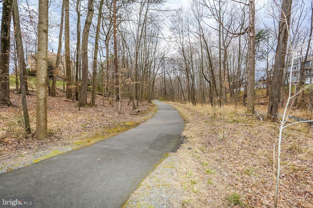 1646 Harvest Green Court Reston, VA 20194 - Photo 36 of 37 This is the trail behind your home. Enjoy!