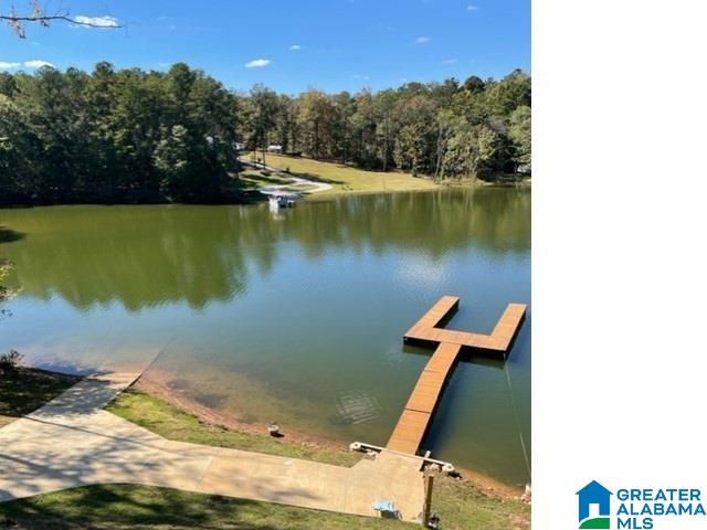 254 South Lakeside Lane Alpine, AL 35014 - Photo 1 of 10