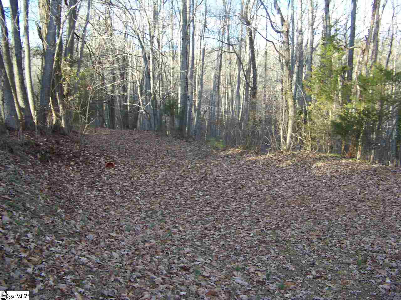 494 North Cedar Rock Road Pickens, SC 29671 - Photo 4 of 13