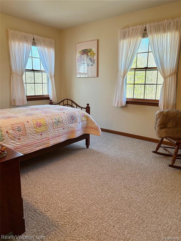5449 Lum Road Attica, MI 48412 - Photo 35 of 81