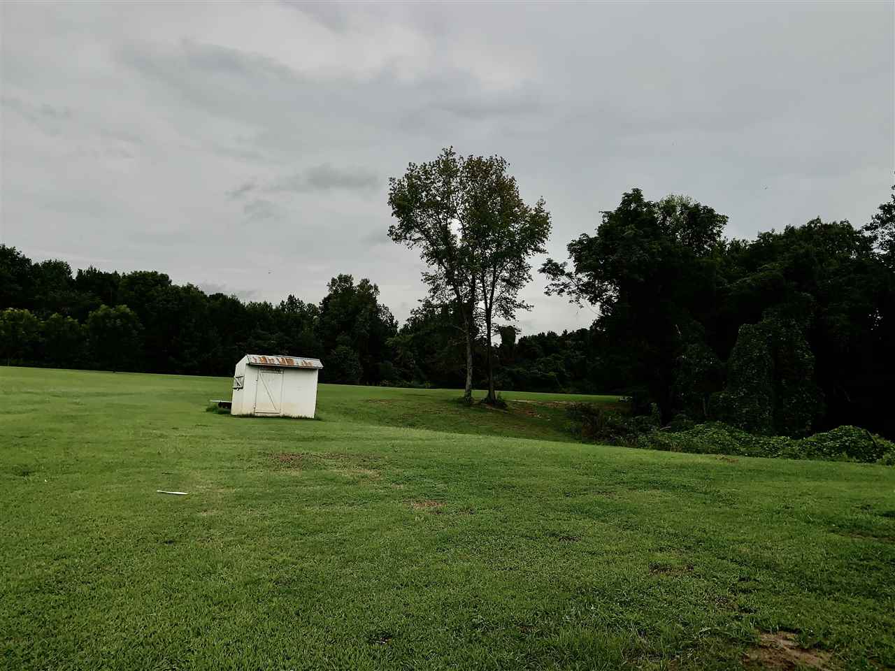 1460 Arp Central Road Ripley, TN 38063 - Photo 4 of 17 Gallery Image 4