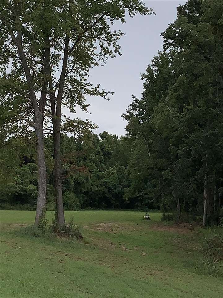 1460 Arp Central Road Ripley, TN 38063 - Photo 5 of 17 Gallery Image 5