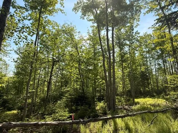 $95,000 | Lot #16 Sunset Cove Way, Orland, ME 04472