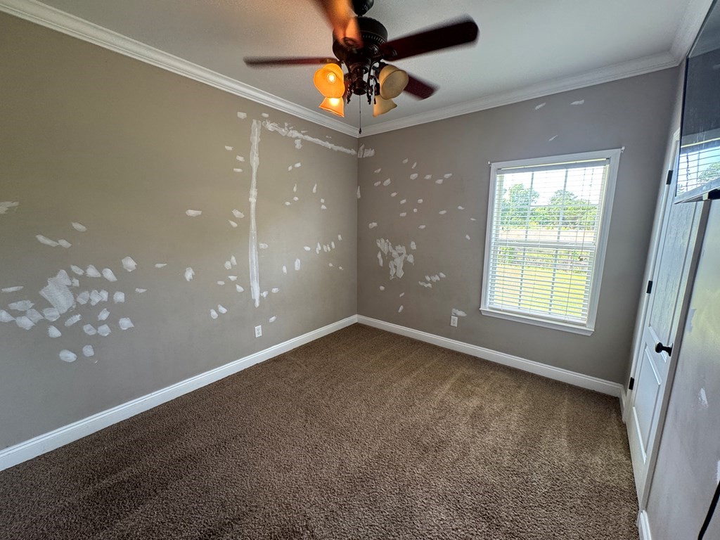 2103 Holland Road Newton, AL 36352 - Photo 14 of 64
