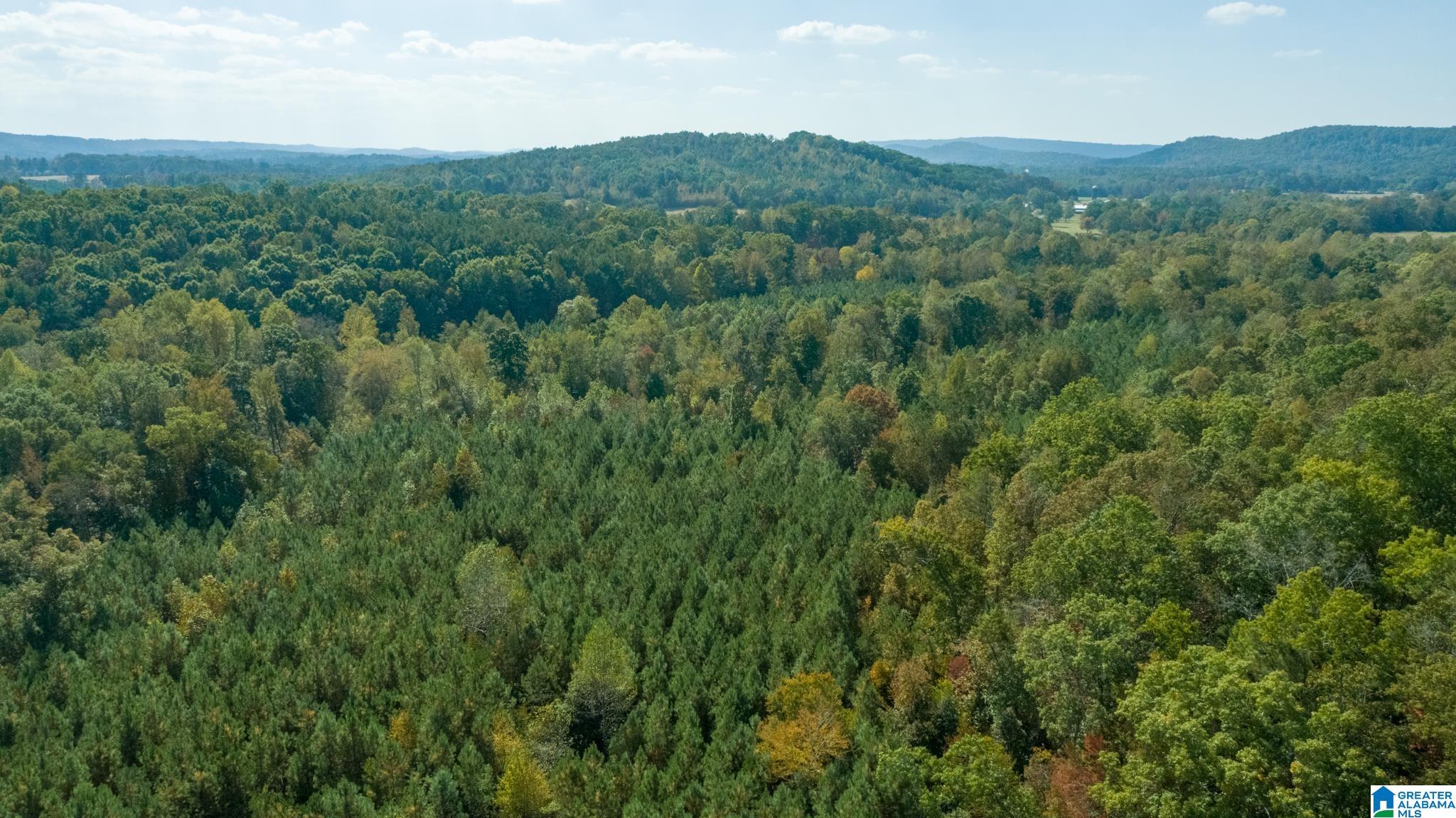 Hale Creek Road Oneonta, AL 35121 - Photo 12 of 17