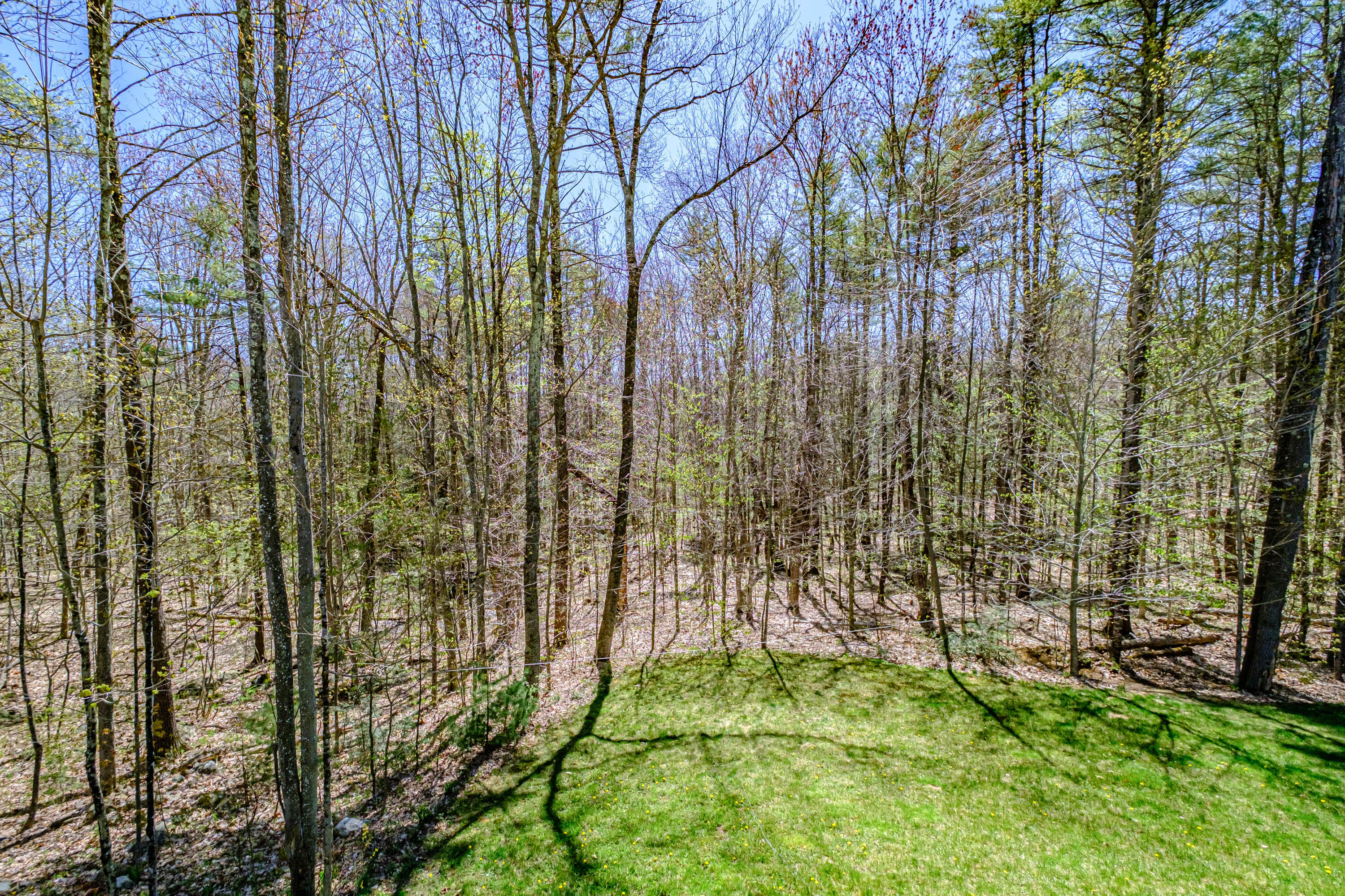 19 Yeaton Hill Road Springvale, ME 04083 - Photo 39 of 43 20220510gp-62058
