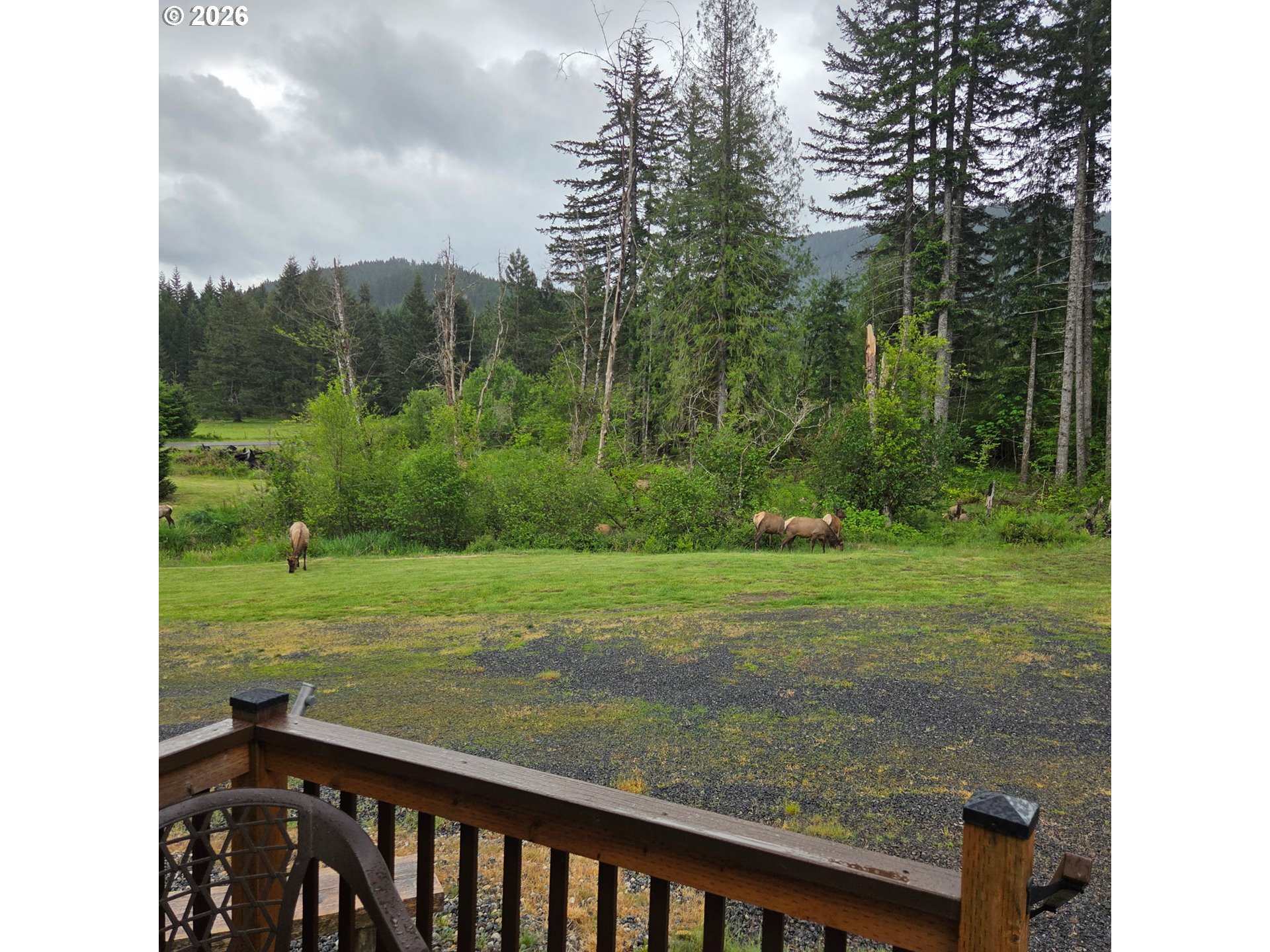 252 Blackledge Road Carson, WA 98610 - Photo 45 of 46