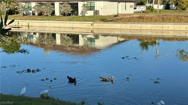 $1,750 | 3305 Southwest 15th Place, Cape Coral, FL 33914