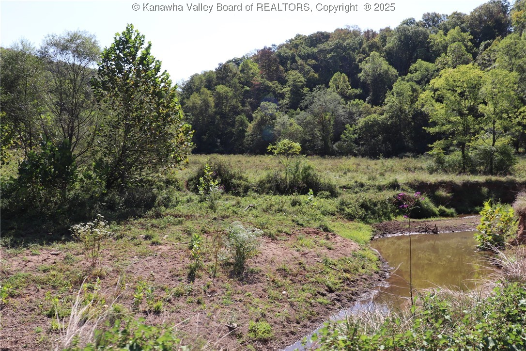 0 16 Mile Road Southside, WV 25187 - Photo 11 of 27 Gallery Image 11