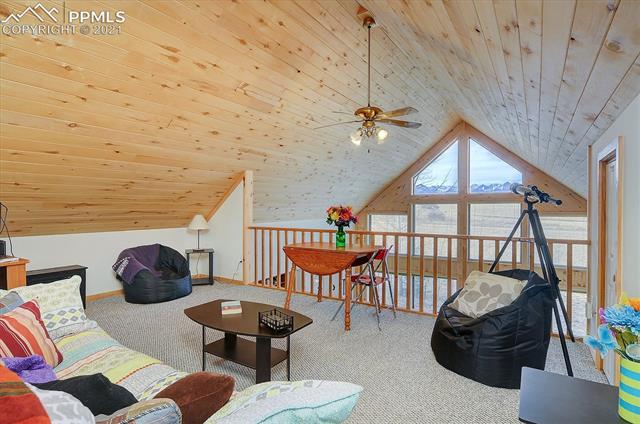 35 Tyndall Road Westcliffe, CO 81252 - Photo 20 of 27 Gallery Image 20