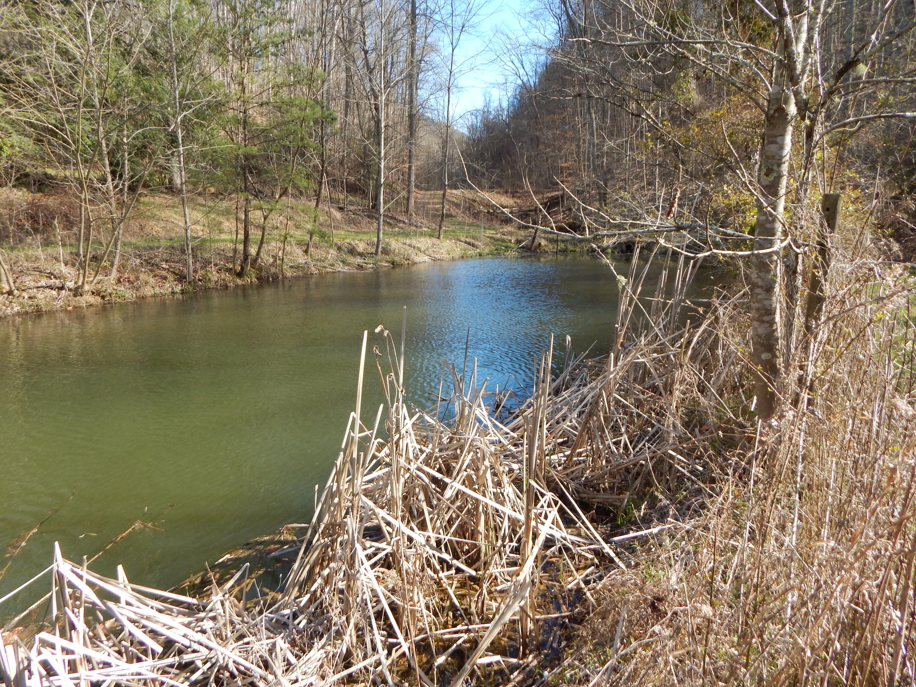 704 River Road, Unit 1 Church Hill, TN 37642 - Photo 56 of 91 DSCN2629